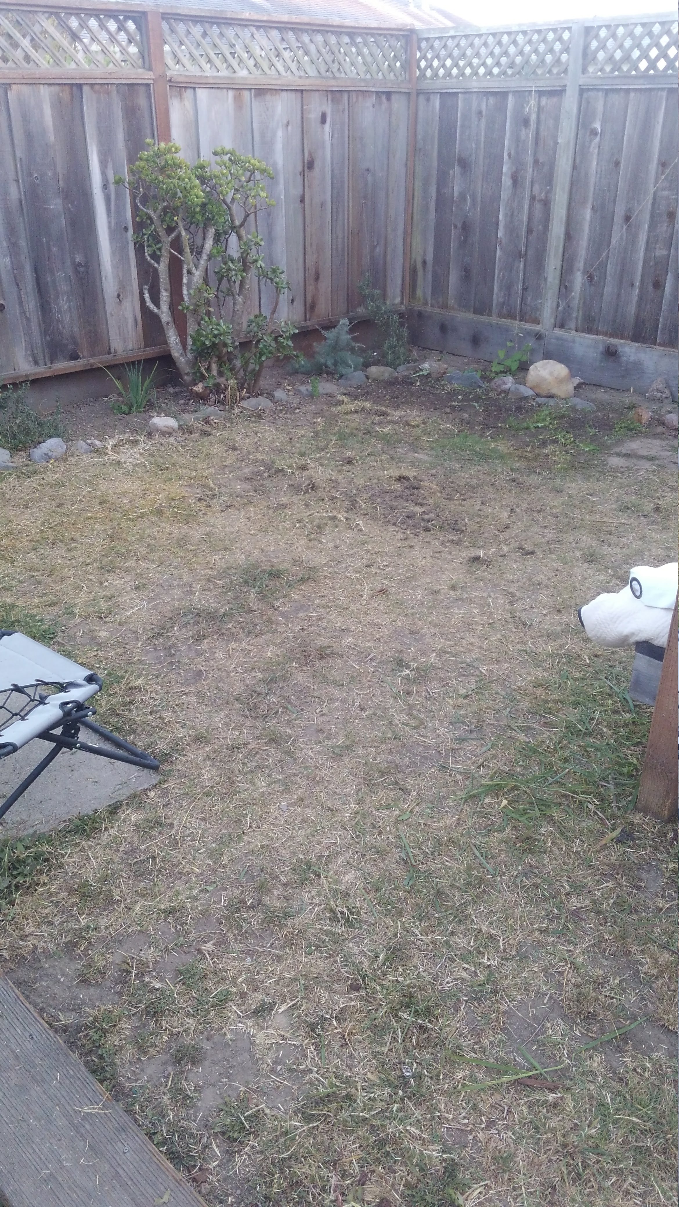 The stages of replacing the lawn