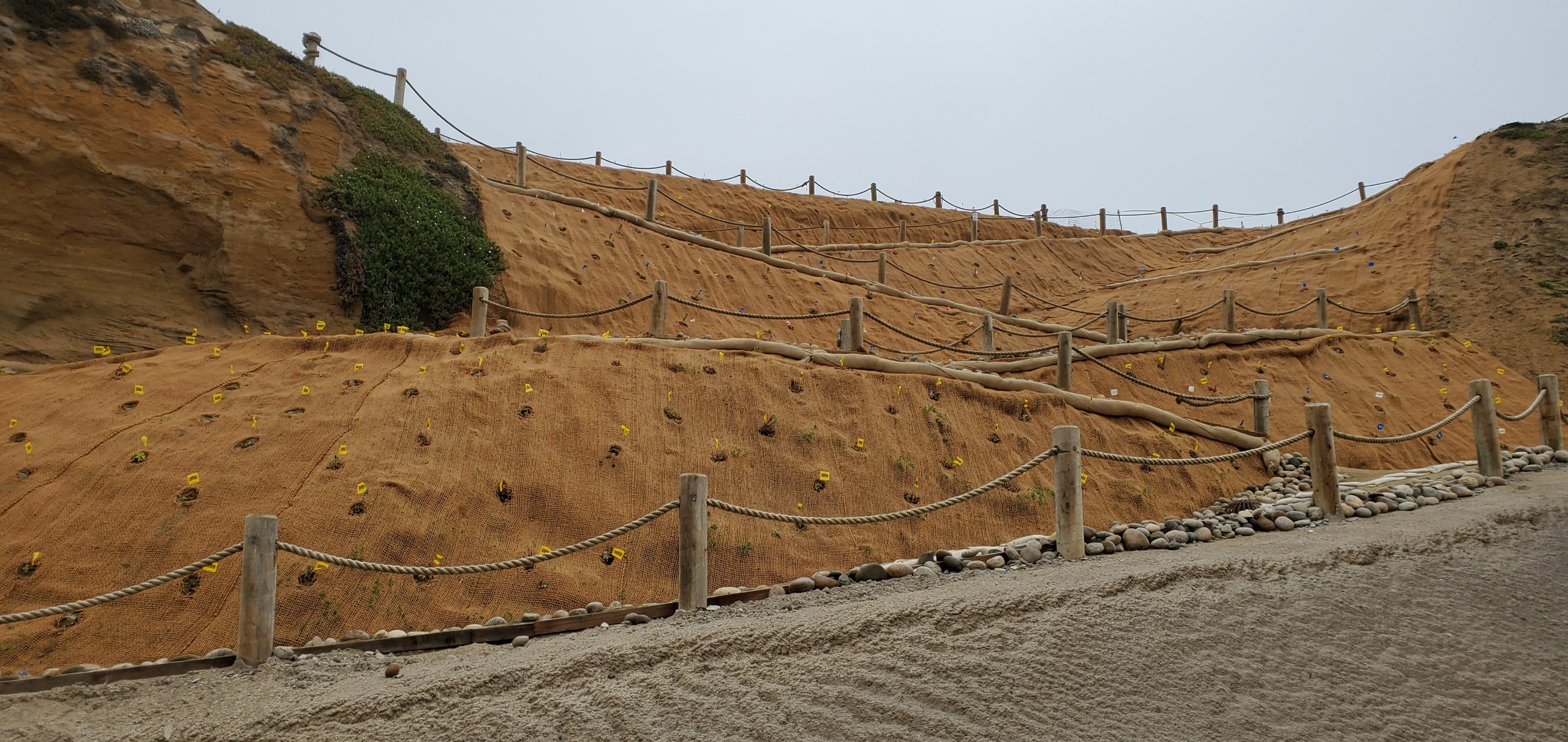 erosion control blanket at Pacifica