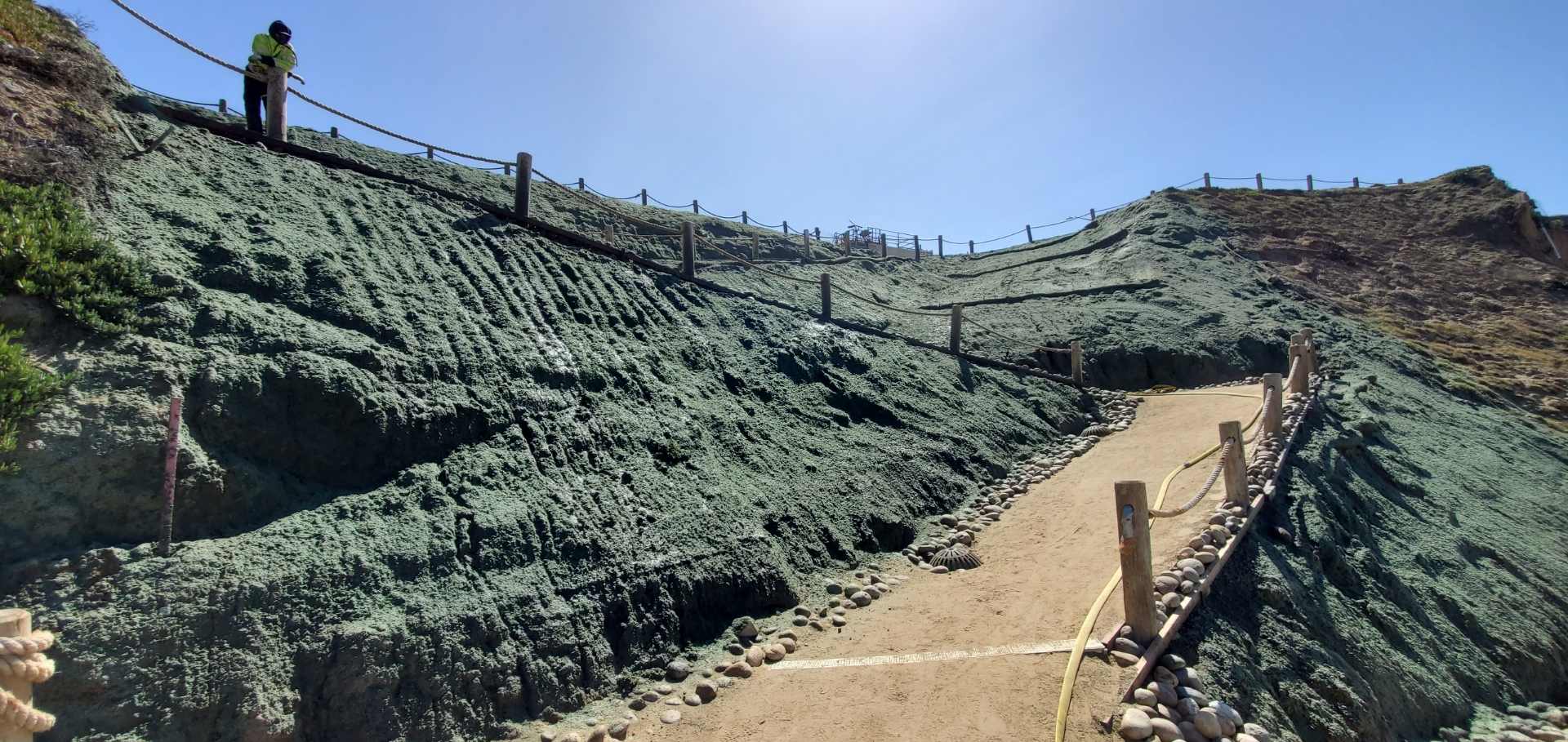 Steep slope covered with Sedum for erosion resistance - Sempergreen