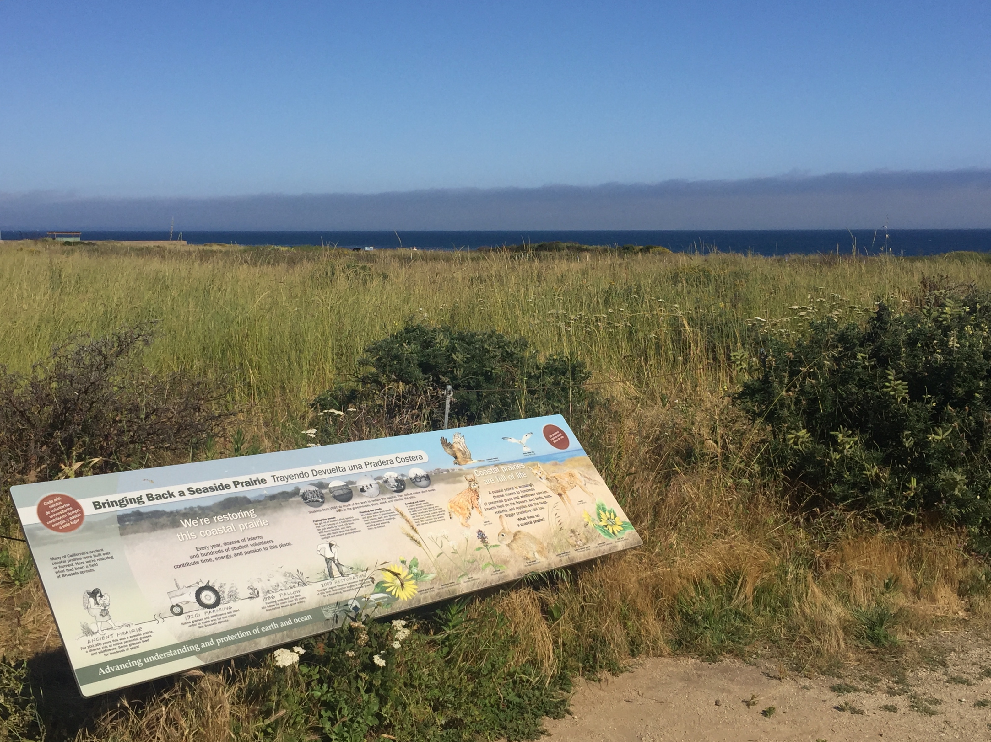 native prairie and an educational sign and the UCSC Coastal Biology Campus