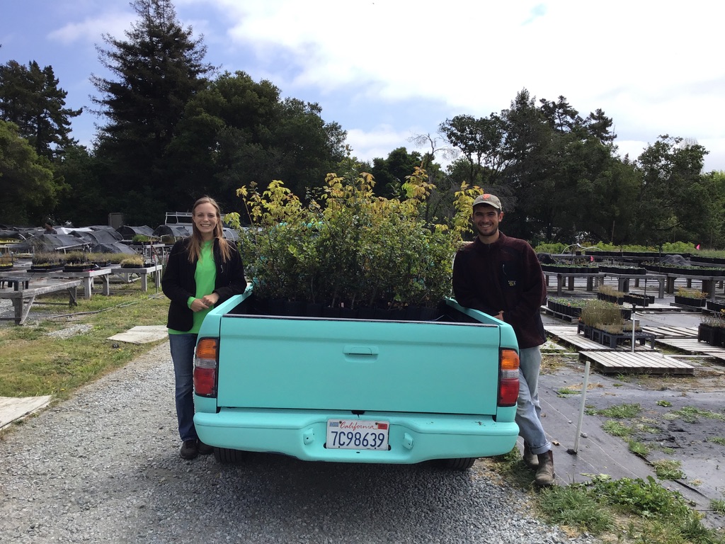 Shelby and Matt at the nursery with a truckload of trees